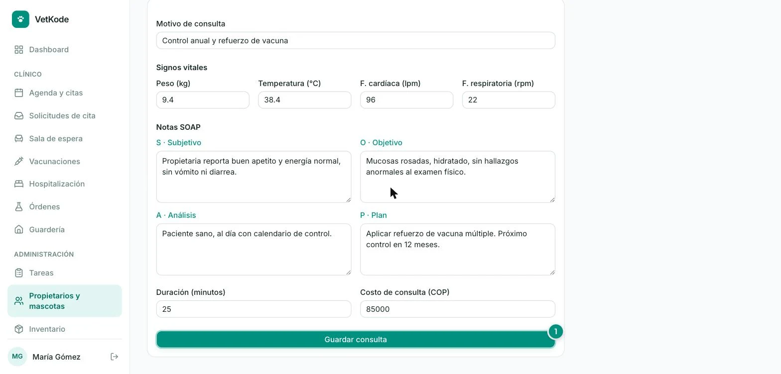Parte inferior del formulario de consulta con duración, costo y el botón Guardar consulta resaltado